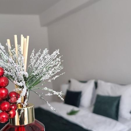 Mv Central Apartment & Garage - Self Check-In Timisoara Luaran gambar