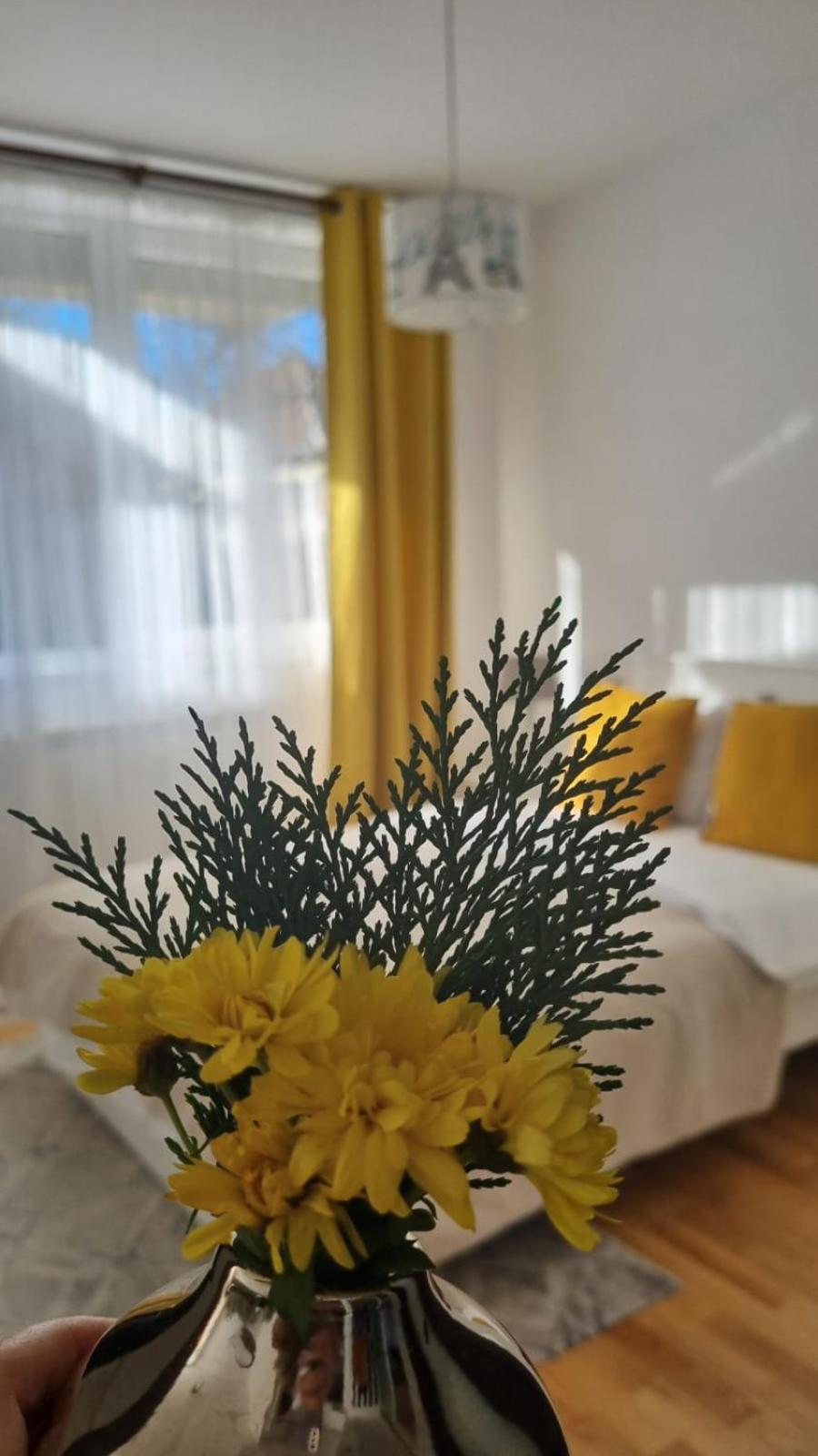 Mv Central Apartment & Garage - Self Check-In Timisoara Luaran gambar